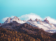 约旦门将扑出日本点球后挥拳庆祝，没想到皮球却弹进球门